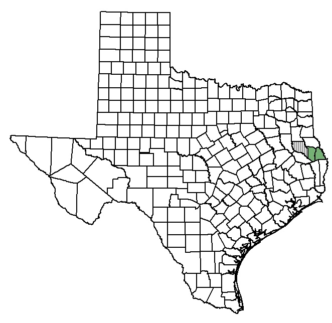 Distribution map of Texas golden gladecress