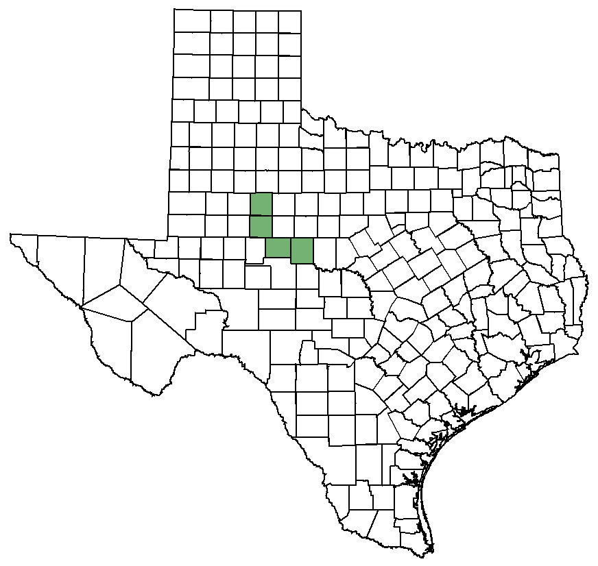 Distribution map of Texas poppy-mallow