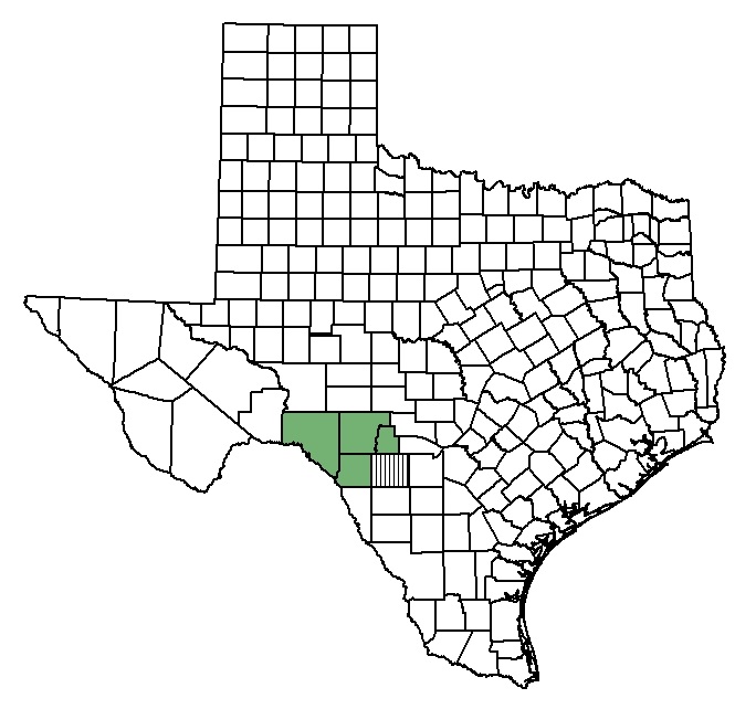Distribution map of Texas snowbell