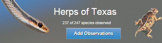 View the Herps of Texas Project on iNaturalist