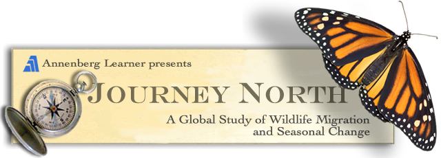 Journey North logo