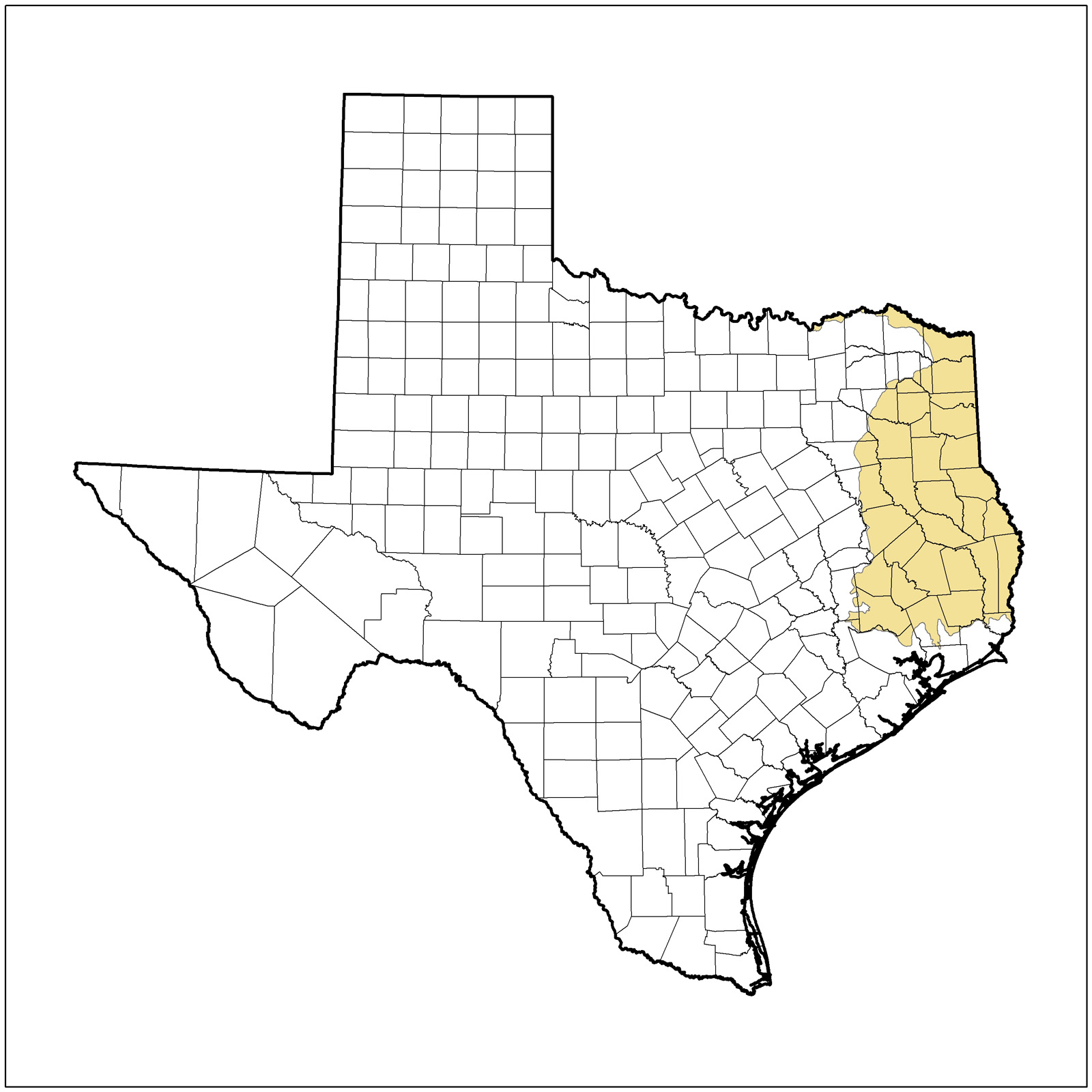 Western Gulf Coastal Plain (Pineywoods) Ecoregion of Texas