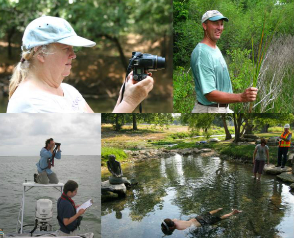 collage of images of people collected wildlife and plant information