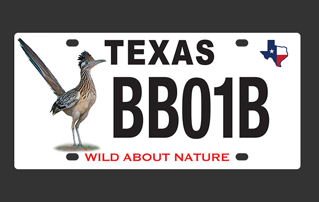 Nature Tourism Conservation License plates