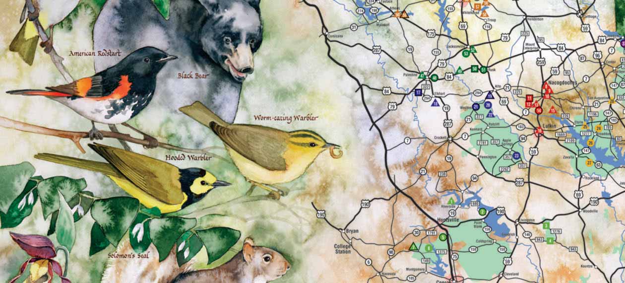 Guide of the Wild – Redstart Interactive