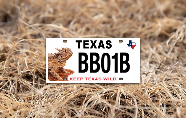 25th Anniversary Texas Horned Lizard license plate