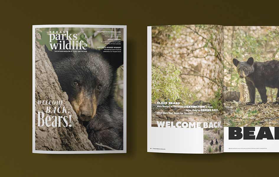 Texas Parks & Wildlife Department