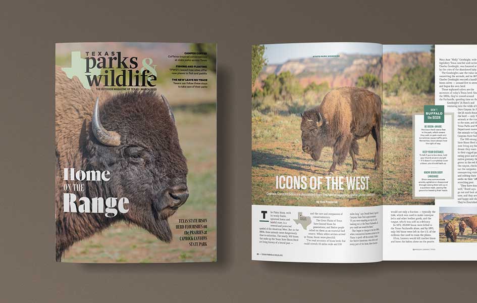 Texas Parks & Wildlife Magazine March 2023 cover