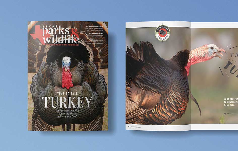Texas Parks & Wildlife Magazine November 2022 cover