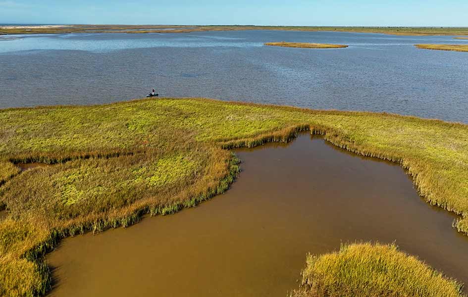 Flounder Science, Wildlife Selfies, Green Turtle Team