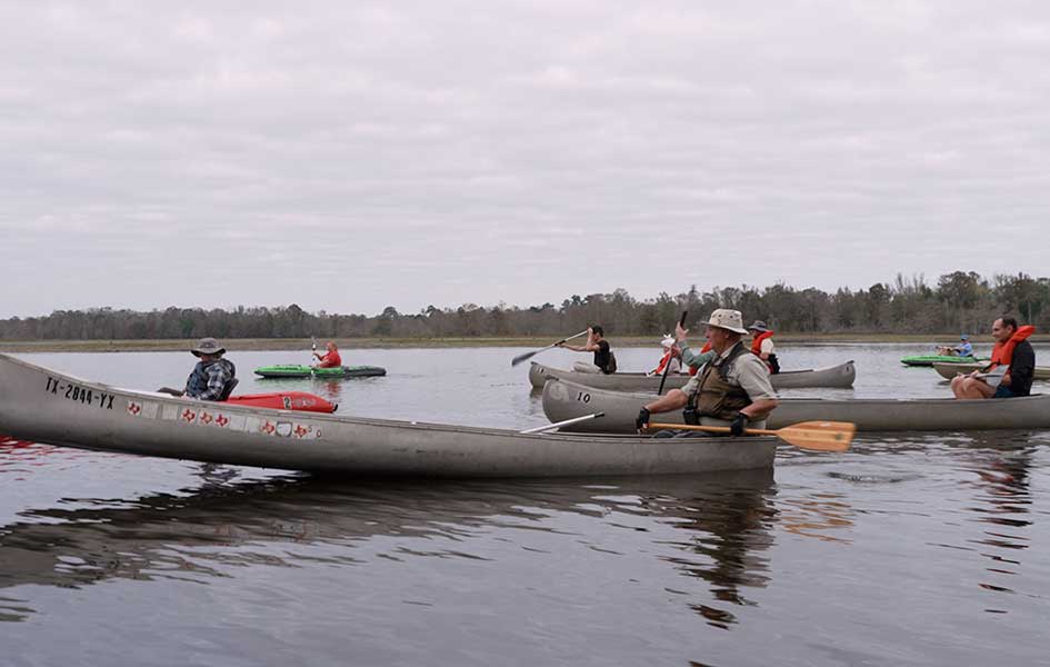 Coastal Boardwalk, Pineywoods Park, Butterflies