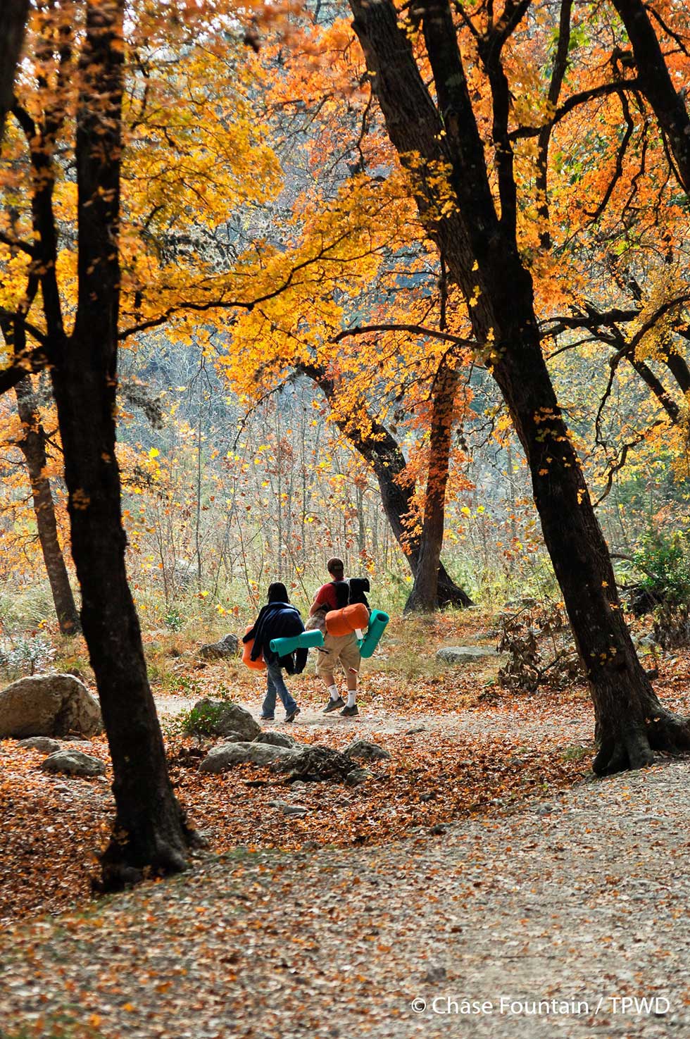 Lost Maples-fall-colors