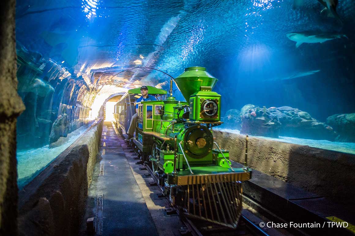 Train @Houston’s Downtown Aquarium