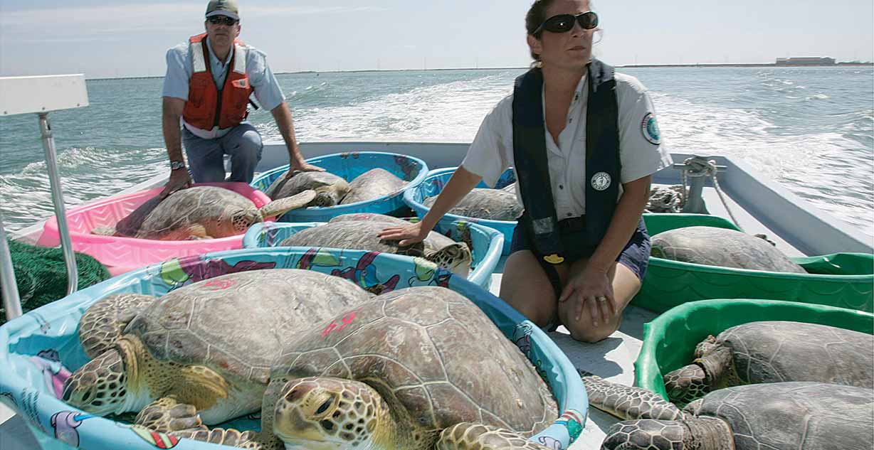 Coastal Fisheries