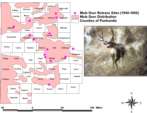 Mule Deer Distribution Map | My XXX Hot Girl