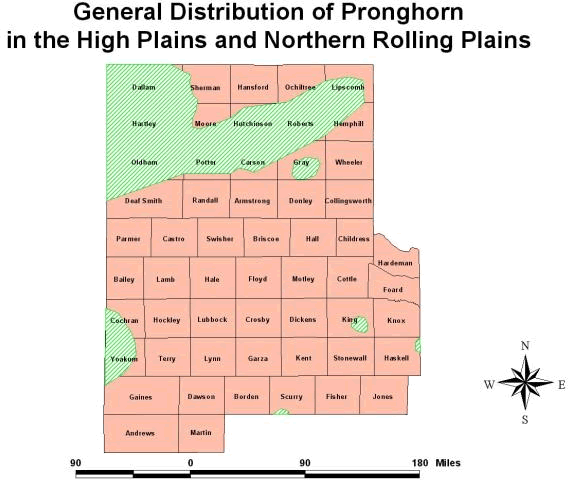 Pronghorn Distribution map in the High Plains and Northern Rolling Plains