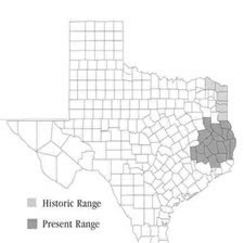 RCW distribution map.