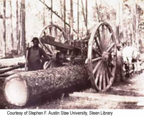 Early 1900's logging.