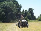 Tractor re-seeding native grasses
