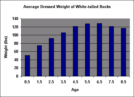 buck weight chart
