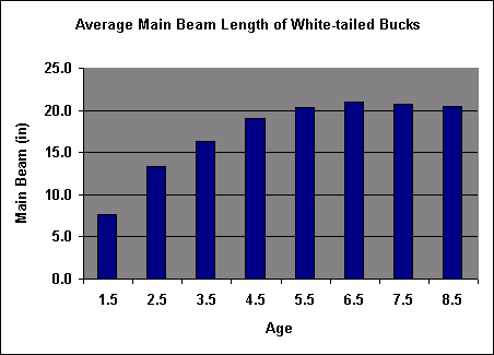 main beam chart