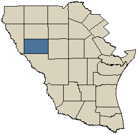 South Texas Map