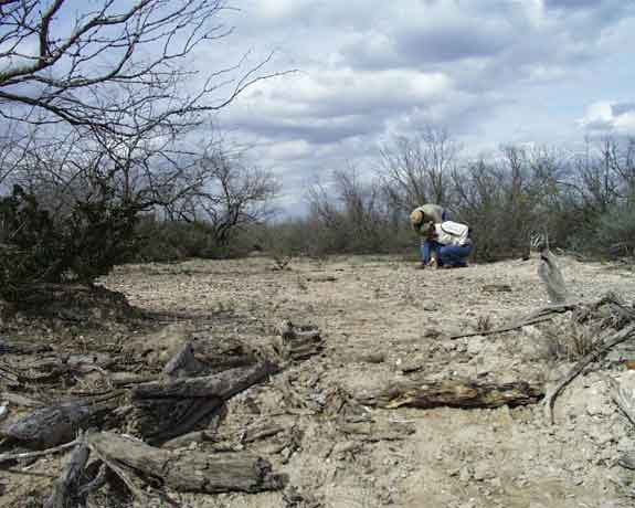 Overgrazed habitat