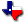 Icon of the State of Texas
