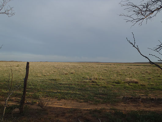 crp-other improved grasslands-134.jpg crp-other improved grasslands-134.jpg