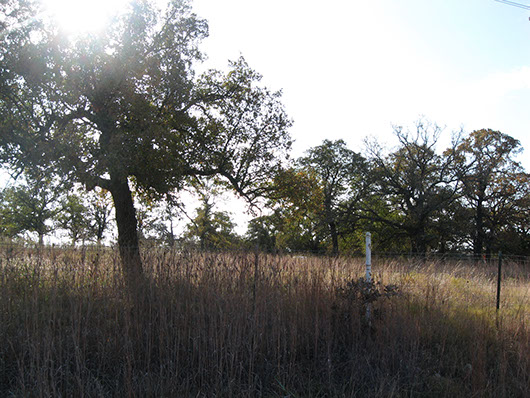 crosstimbers_savanna_grassland_site422.jpg