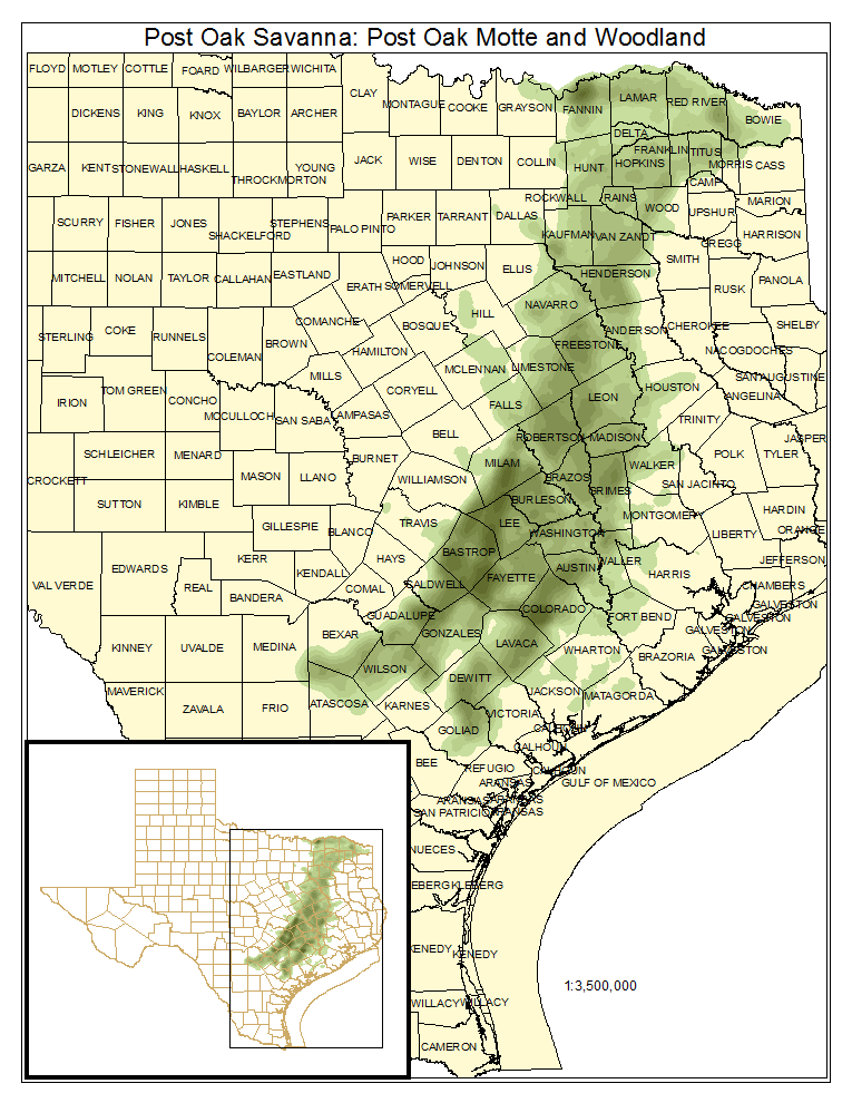 https://tpwd.texas.gov/landwater/land/programs/landscape-ecology/ems/emst/forests-woodlands-and-savannas/east-central-texas-plains-post-oak-savanna-and-woodland/post-oak-savanna-post-oak-motte-and-woodland/@@images/distribution_map.png