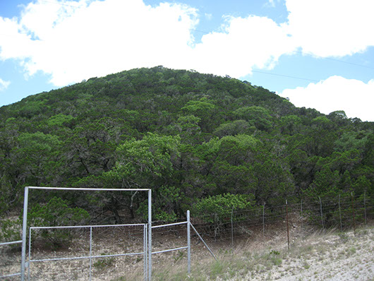 ep_juniper_slopeforest_site2223.jpg ep_juniper_slopeforest_site2223.jpg