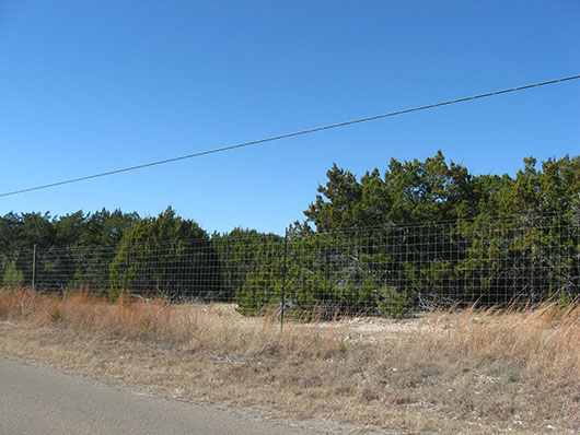 ep_juniper_motte_site859.jpg