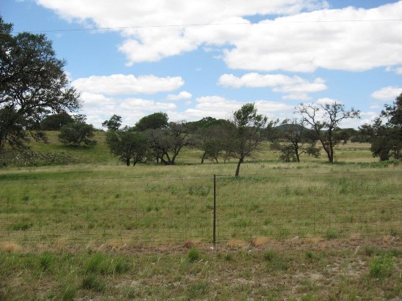 Example_Edwards_Plateau_Savanna_Grassland.jpg