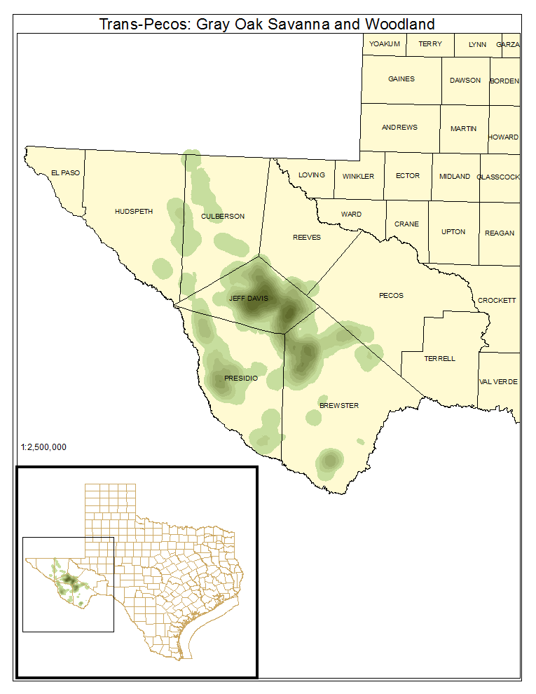 Trans-Pecos: Gray Oak Savanna and Woodland