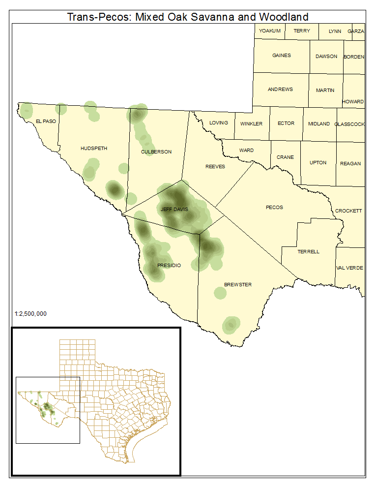 Trans-Pecos: Mixed Oak Savanna and Woodland