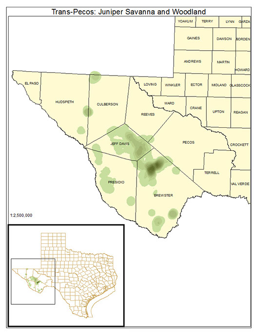 Trans-Pecos: Juniper Savanna and Woodland