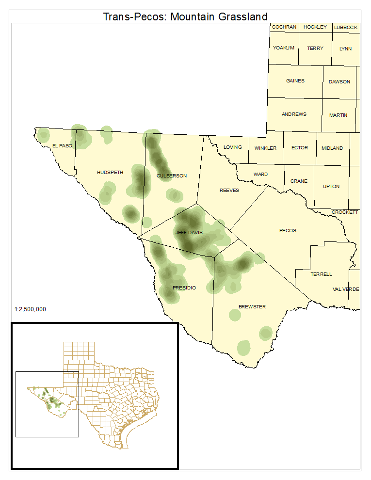 Trans-Pecos: Mountain Grassland