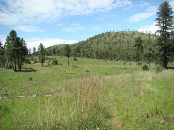 Example_Trans_Pecos_Mountain_Grassland.jpg Example_Trans_Pecos_Mountain_Grassland.jpg