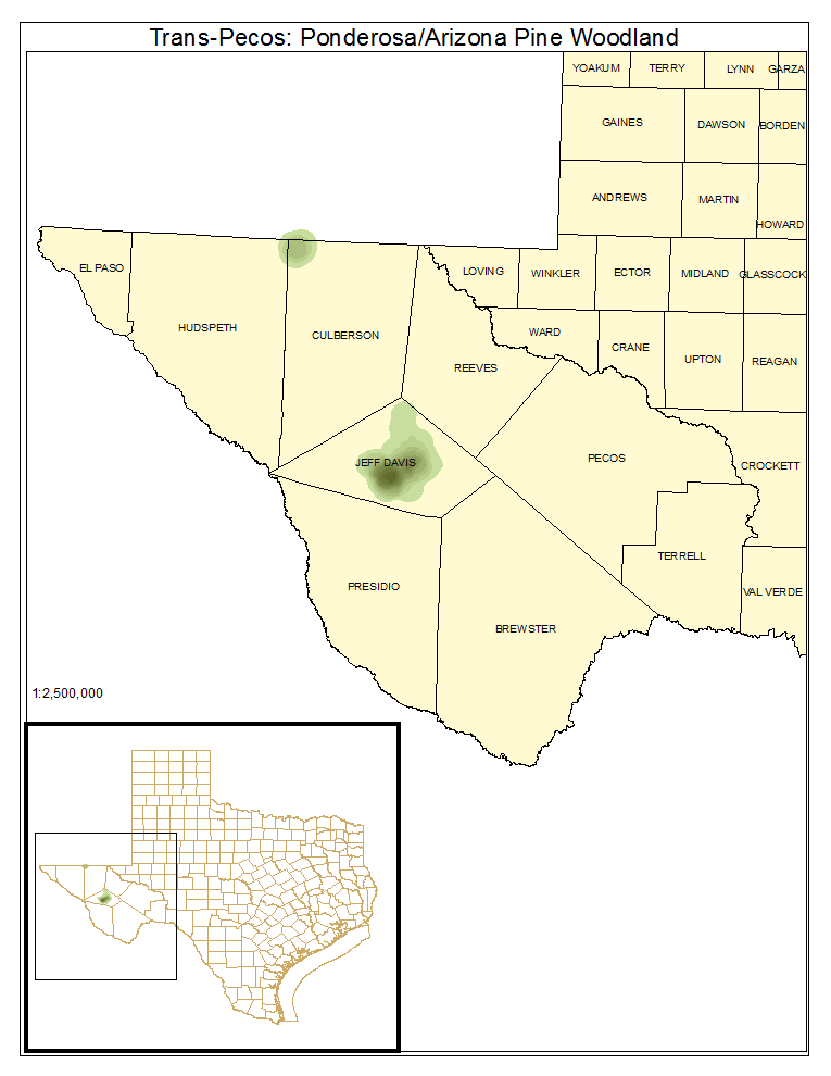 Trans-Pecos: Ponderosa/Arizona Pine Woodland