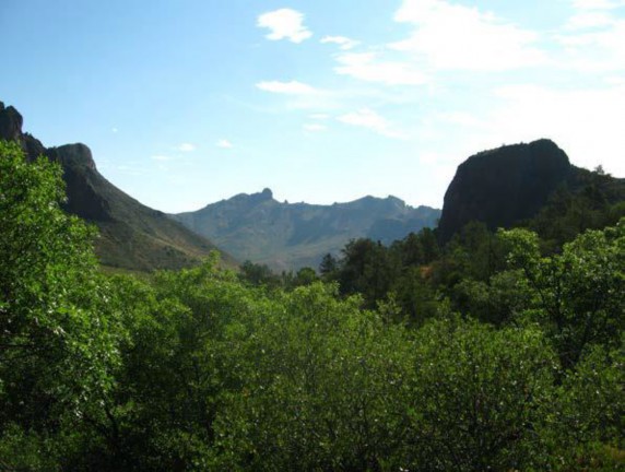 Example_Trans_Pecos_Montane_Mesic_and_Canyon_Hardwood_Pine_Juniper_Forest.jpg