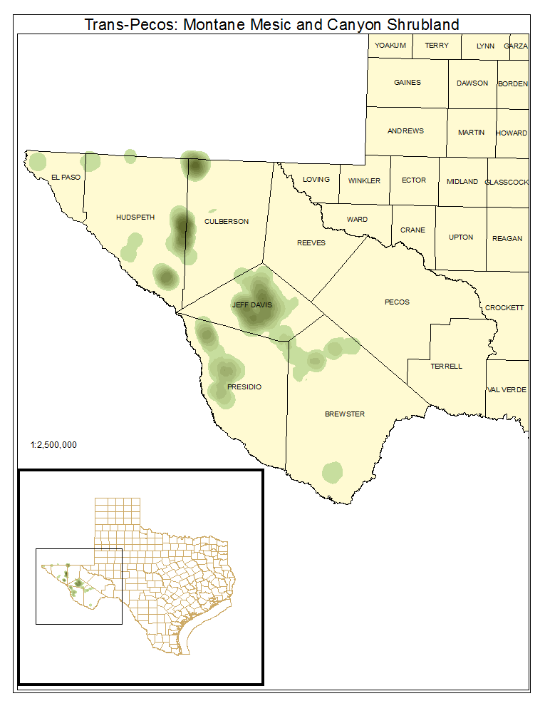 Trans-Pecos: Montane Mesic and Canyon Shrubland
