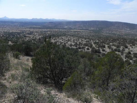 Example_Trans_Pecos_Pinyon_Juniper_Shrubland.jpg Example_Trans_Pecos_Pinyon_Juniper_Shrubland.jpg