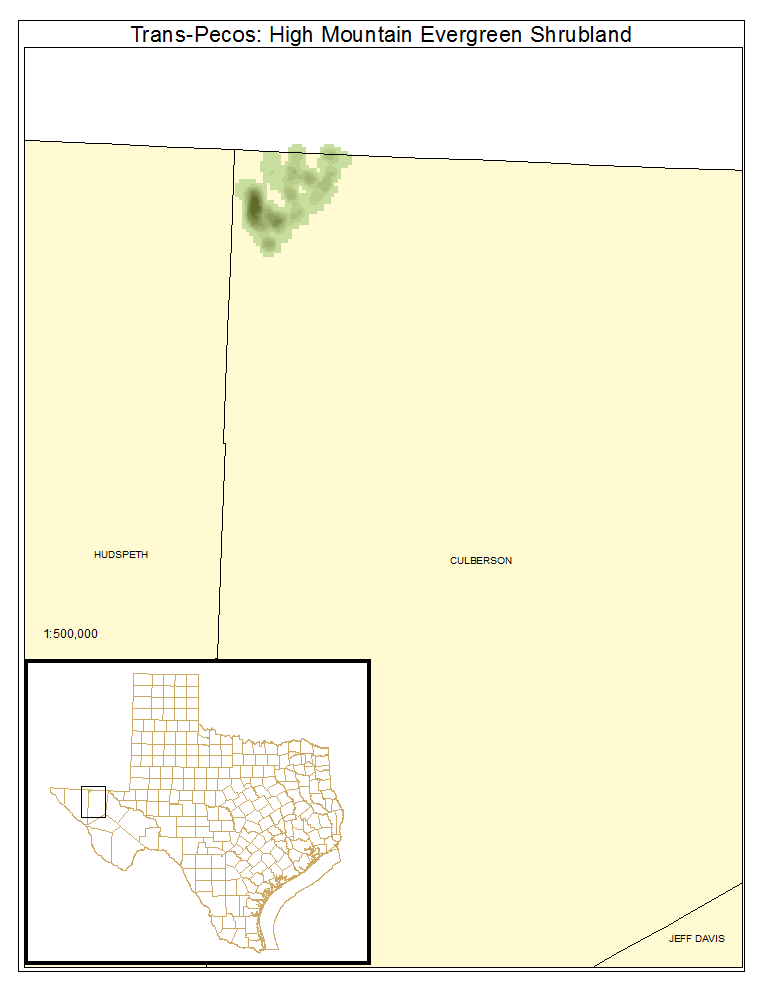 Trans-Pecos: High Mountain Evergreen Shrubland