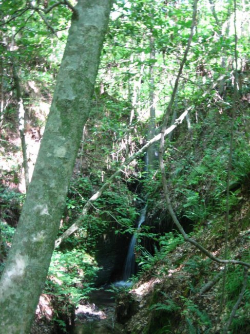Image_008.jpg Image_008.jpg