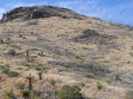 Example Trans-Pecos Hill and Foothill Grassland.jpg
