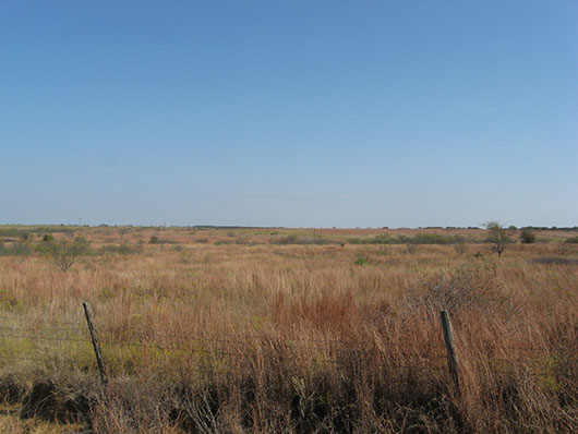 rollingplains_centralmixedgrassprairie_site477.jpg