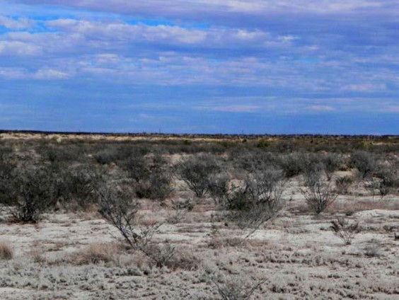 Example Trans-Pecos Gyp Shrubland.jpg Example Trans-Pecos Gyp Shrubland.jpg