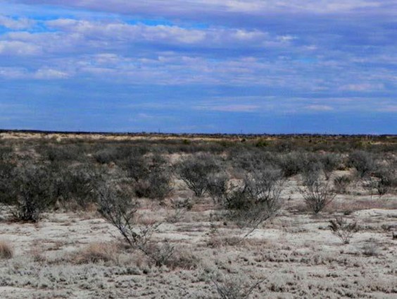 Example Trans-Pecos Gyp Shrubland.jpg