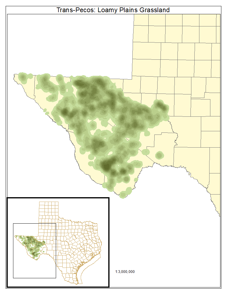 Trans-Pecos: Loamy Plains Grassland